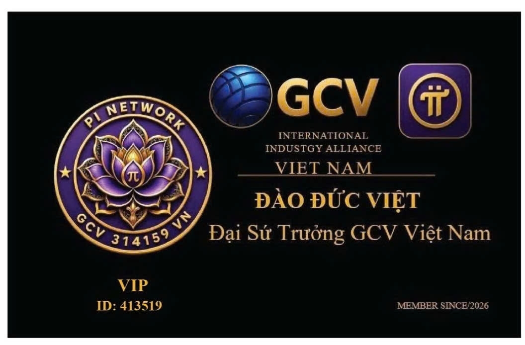 Mẫu thẻ Pi GCV Việt Nam
